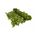 Haie synthétique imitation feuillage Boutique Jardin Haie synthétique imitation feuillage Boutique Jardin