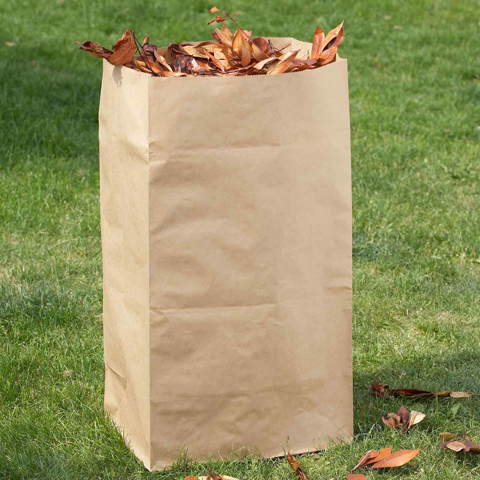 sac vegetaux papier