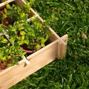 Potager carré divisé