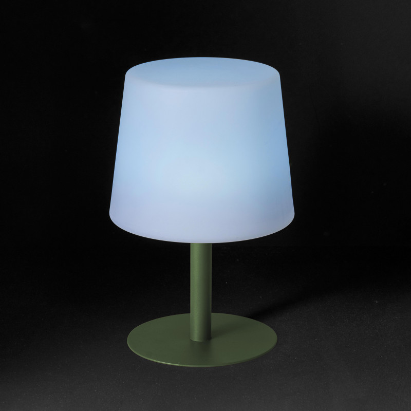 Lampe de table LED CACTUS