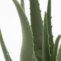 Plante artificielle aloe verra réaliste