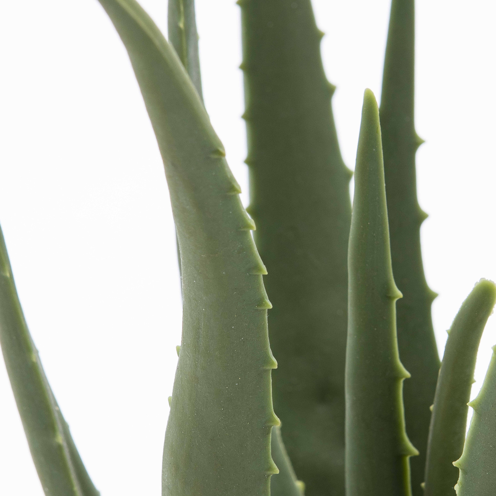 Plante artificielle aloe verra réaliste