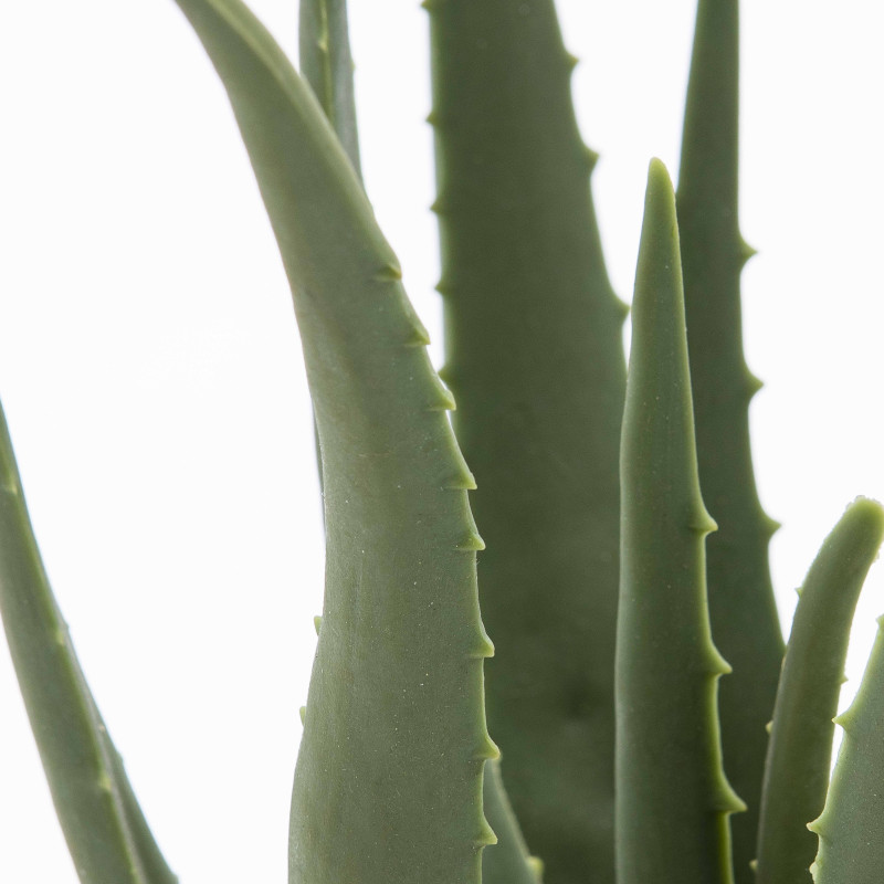 Plante artificielle aloe verra réaliste