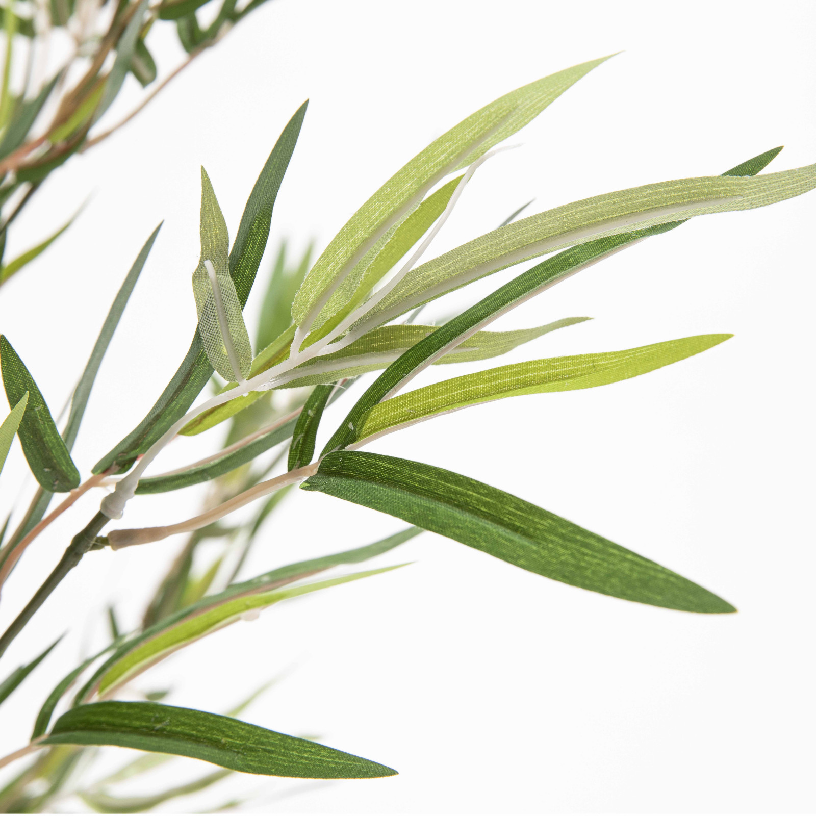 Focus feuille plante artificielle aloe verra