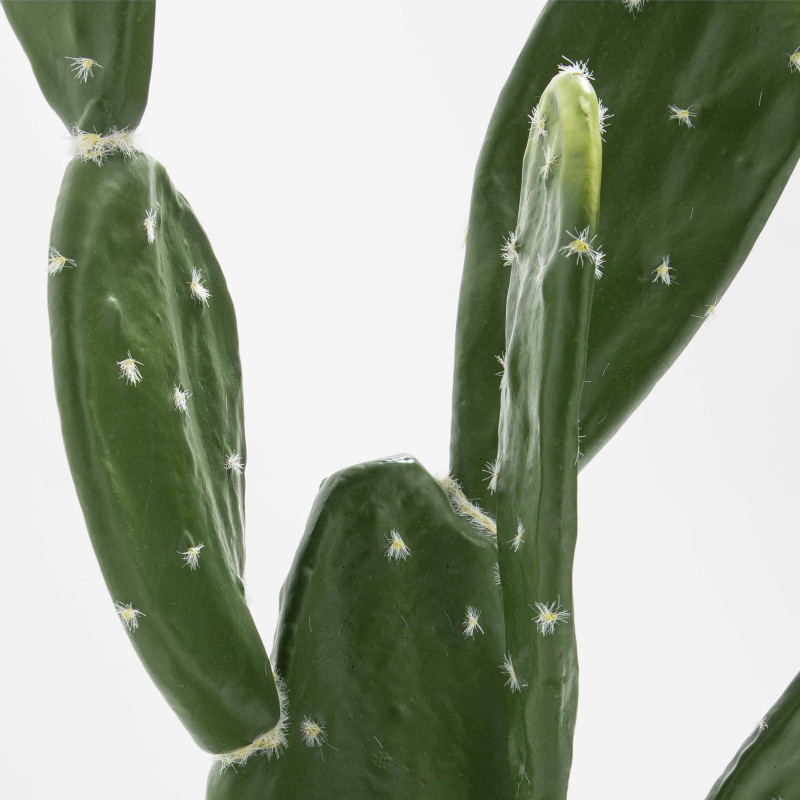 Focus plante artificielle cactus