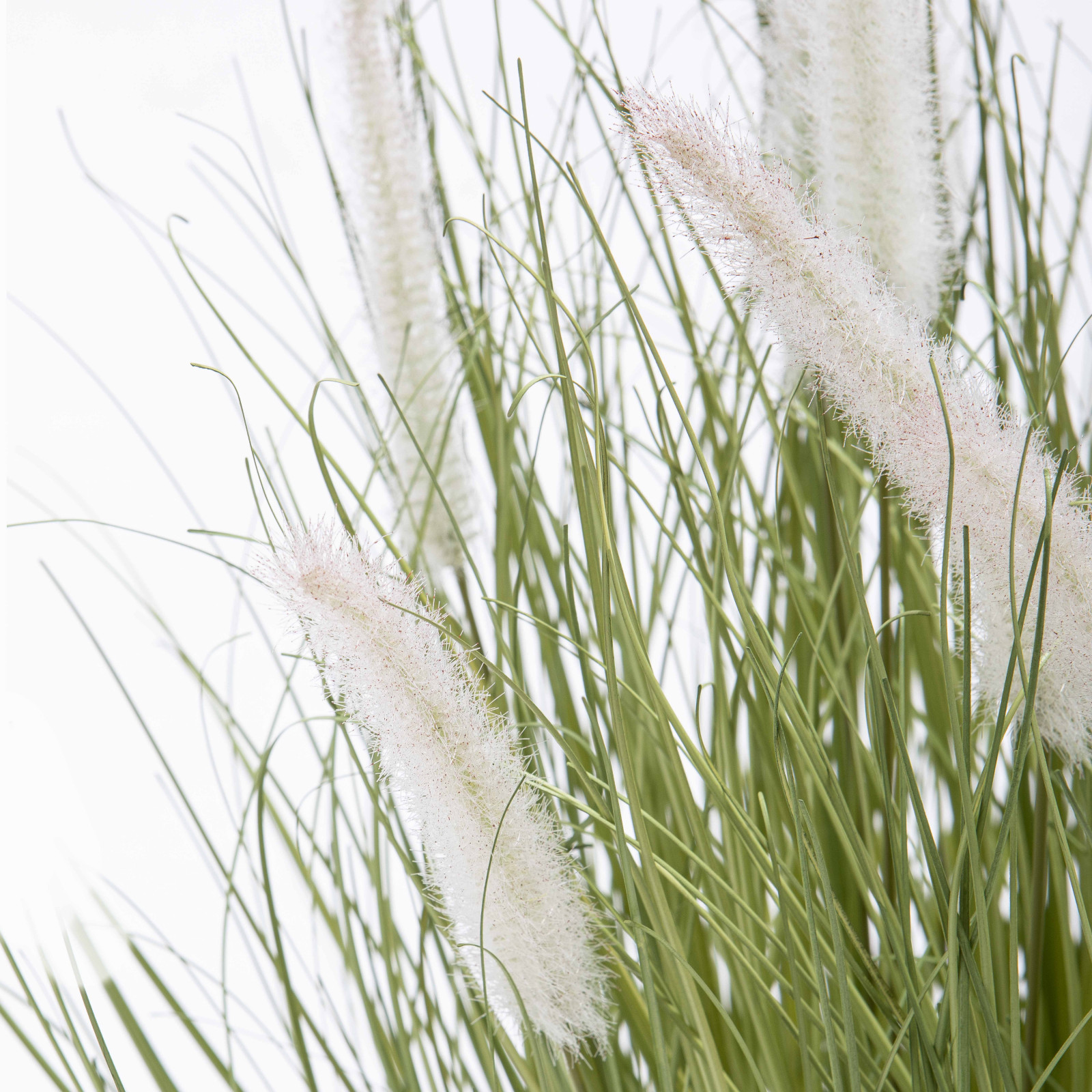 Focus plante artificielle herbe folle Penninsetum