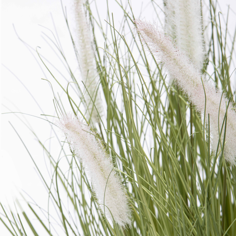 Focus plante artificielle herbe folle Penninsetum