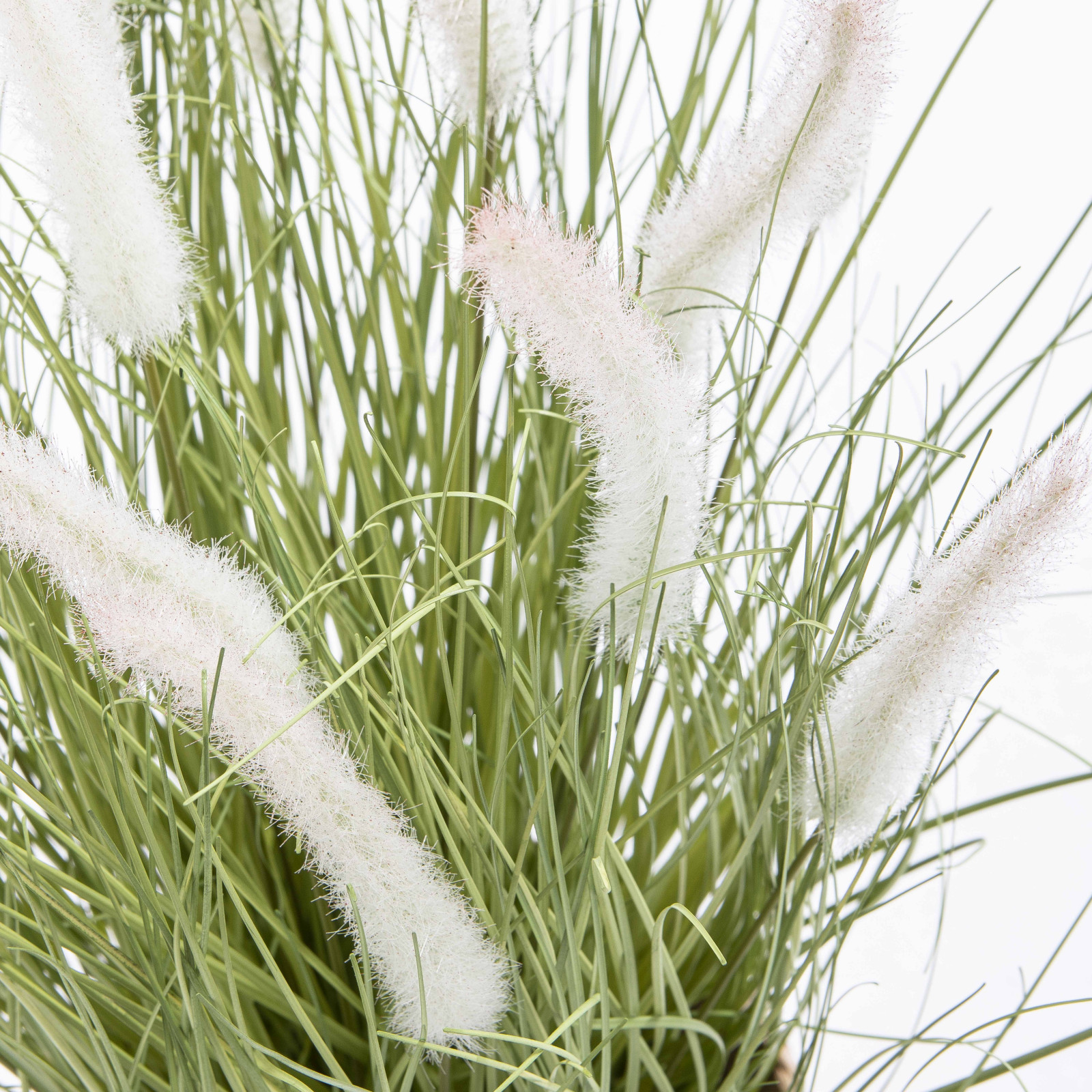 Focus plante artificielle herbe folle Penninsetum