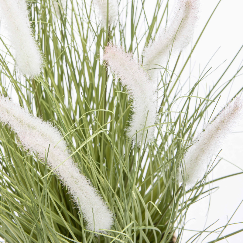 Focus plante artificielle herbe folle Penninsetum