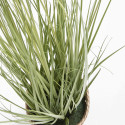 Focus plante artificielle herbe folle juncus Focus plante artificielle herbe folle juncus