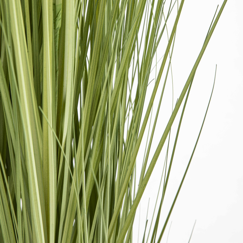 Focus plante artificielle herbe folle juncus