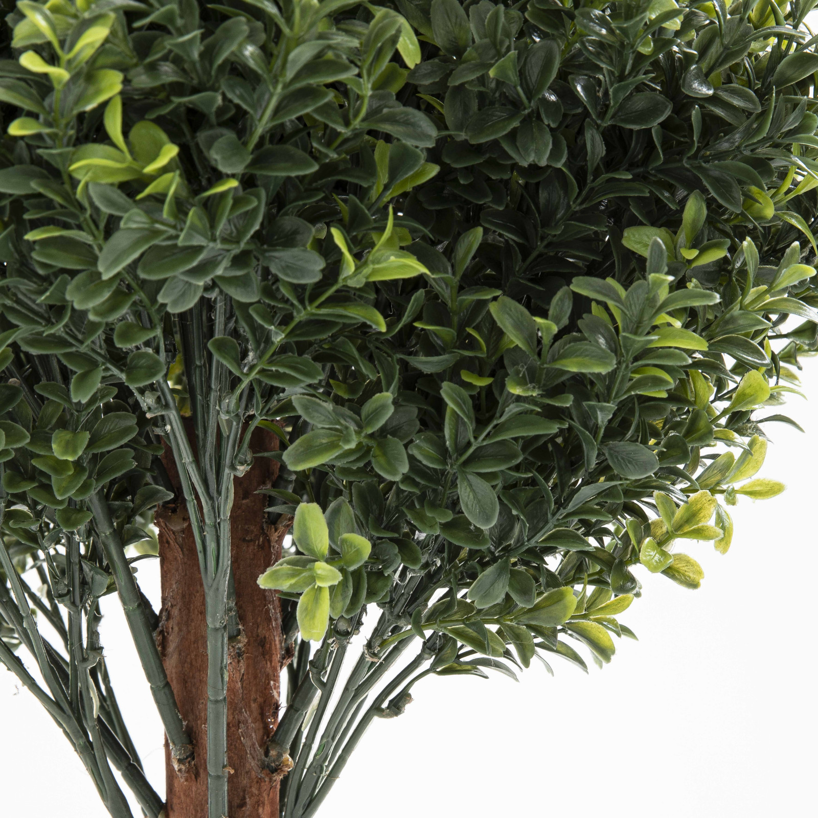 Focus plante artificielle buis sur tronc