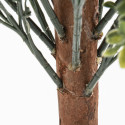 Focus arbuste artificiel buis sur tronc