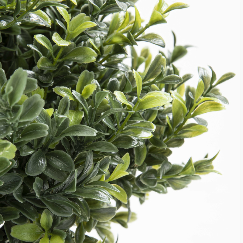 Focus arbuste artificiel buis sur tronc