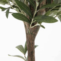 Focus plante artificielle olivier Focus plante artificielle olivier