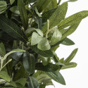 Focus plante artificielle olivier Focus plante artificielle olivier