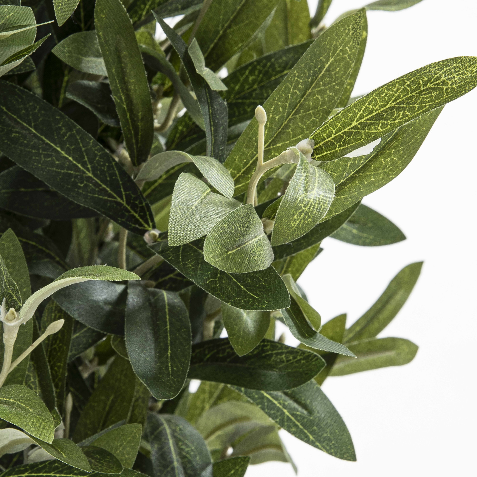 Focus plante artificielle olivier