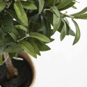 Focus plante artificielle olivier Focus plante artificielle olivier