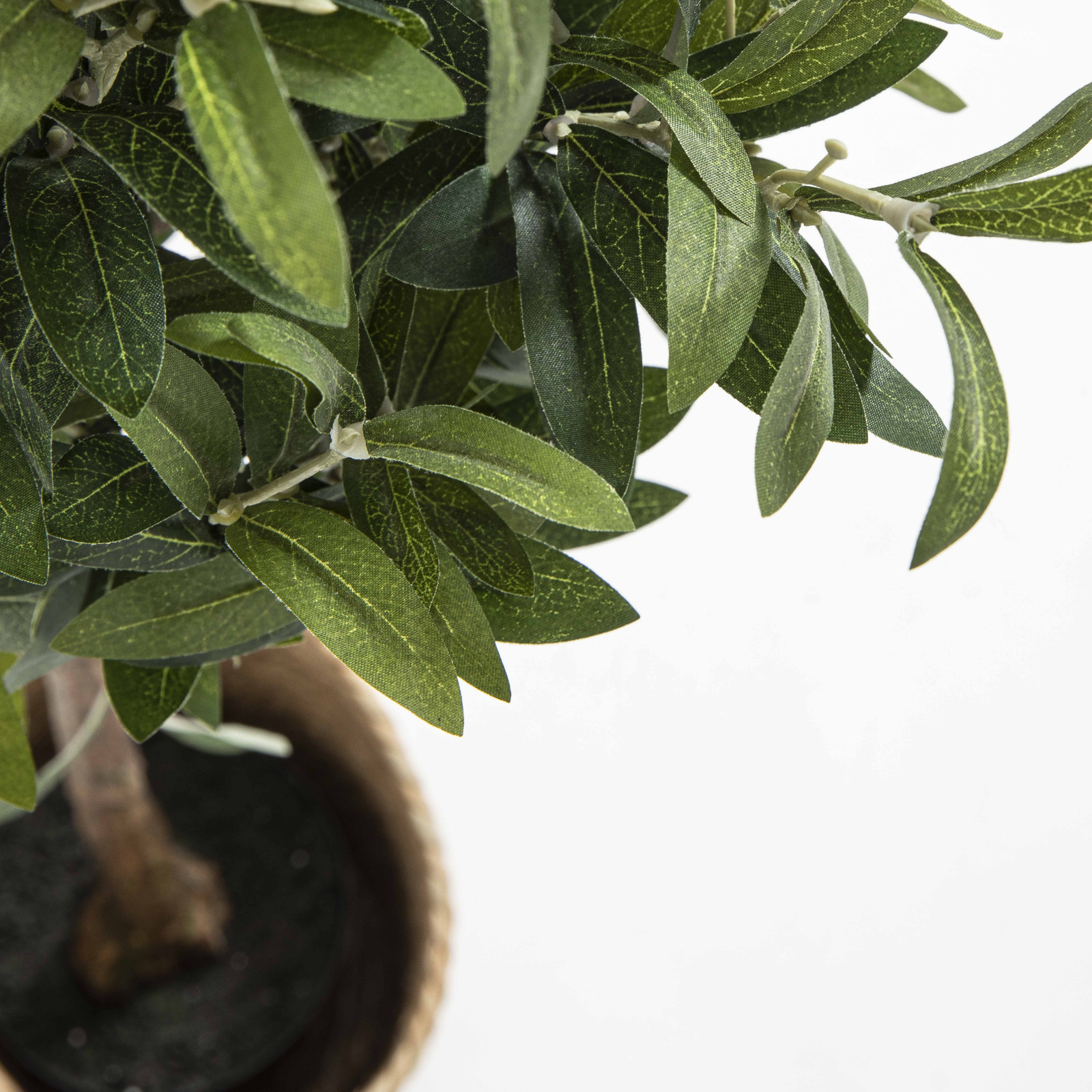 Focus plante artificielle olivier