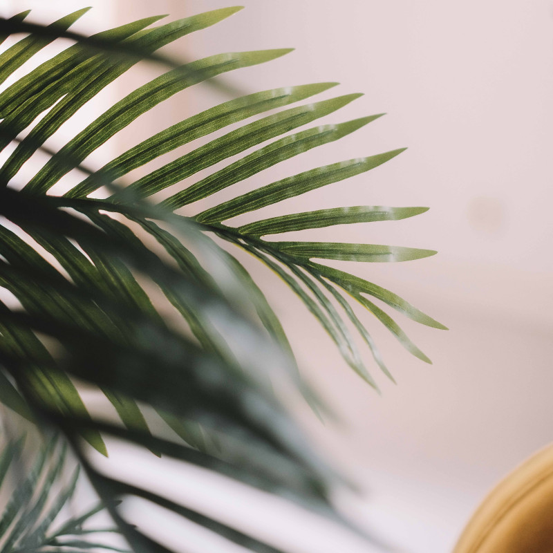 Focus palmier artificiel intérieur (4/7)