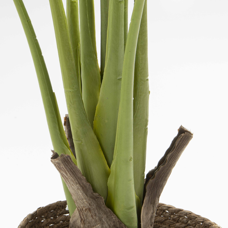 Focus plante artificielle monstera deliciosa