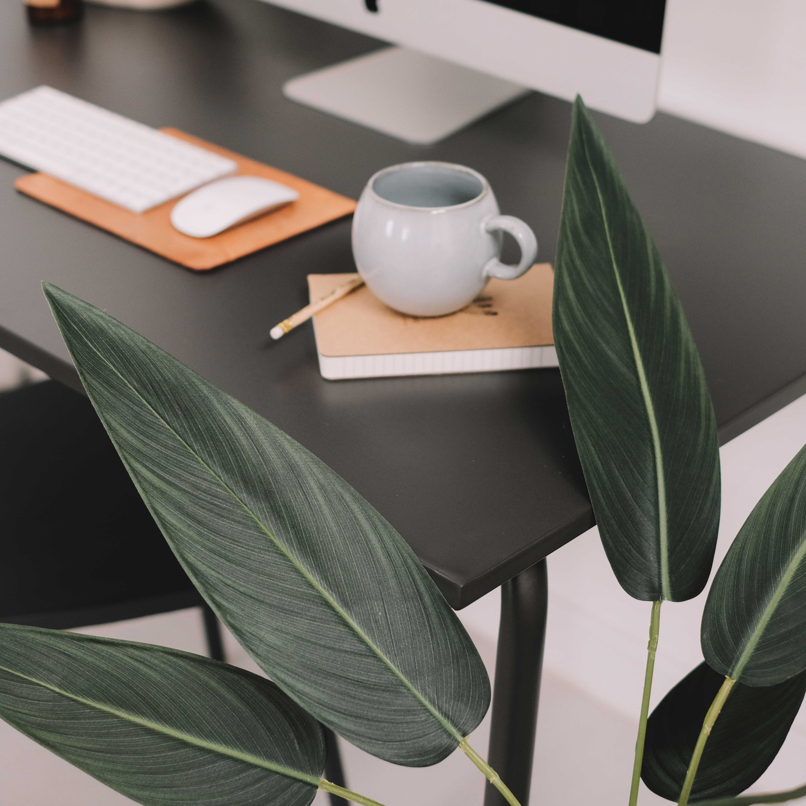 Focus plante artificielle Strelitzia