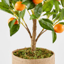 Oranger artificiel en pot hauteur 75 cm