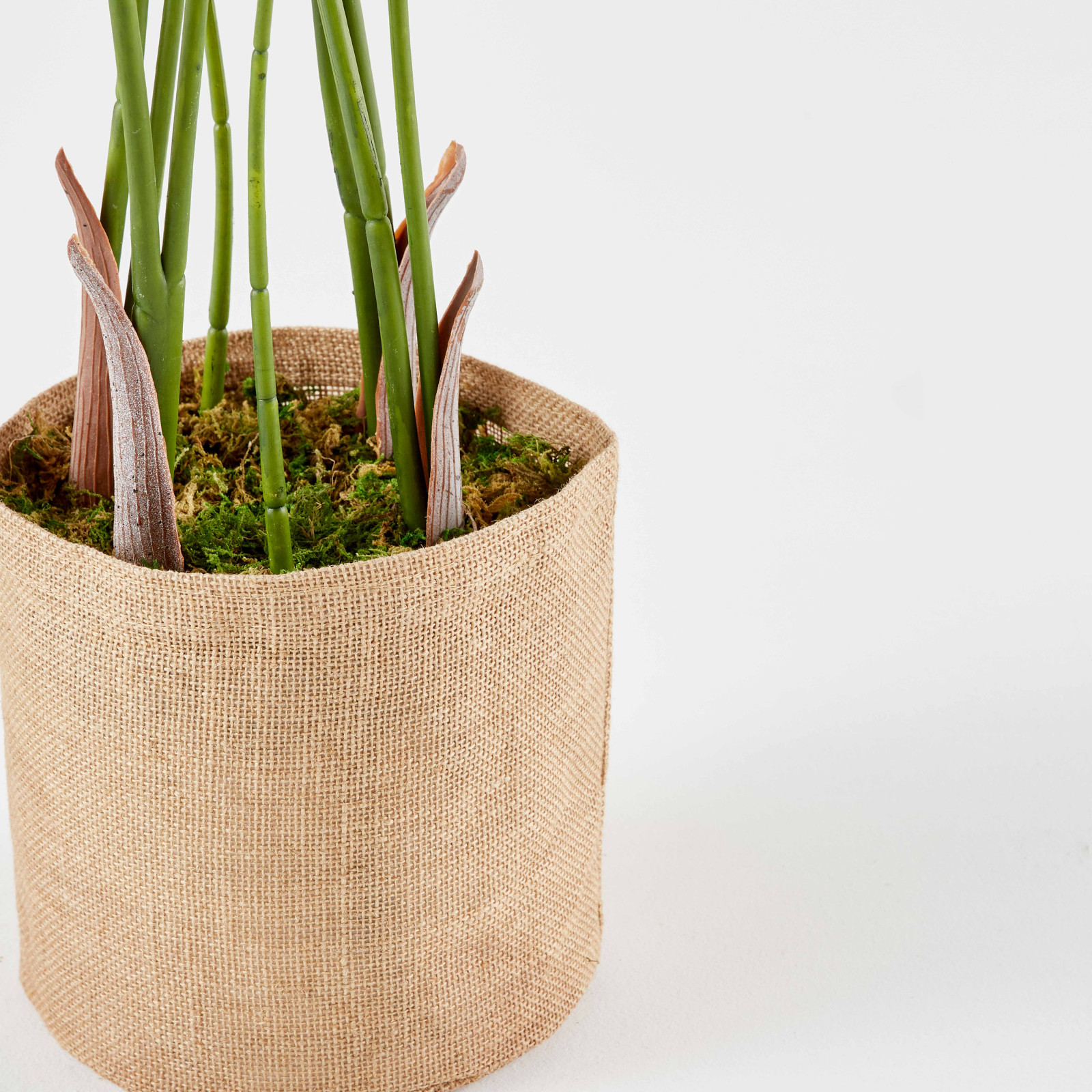 Strelitzia artificiel en pot hauteur 90 cm