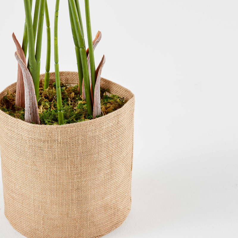 Strelitzia artificiel en pot hauteur 90 cm