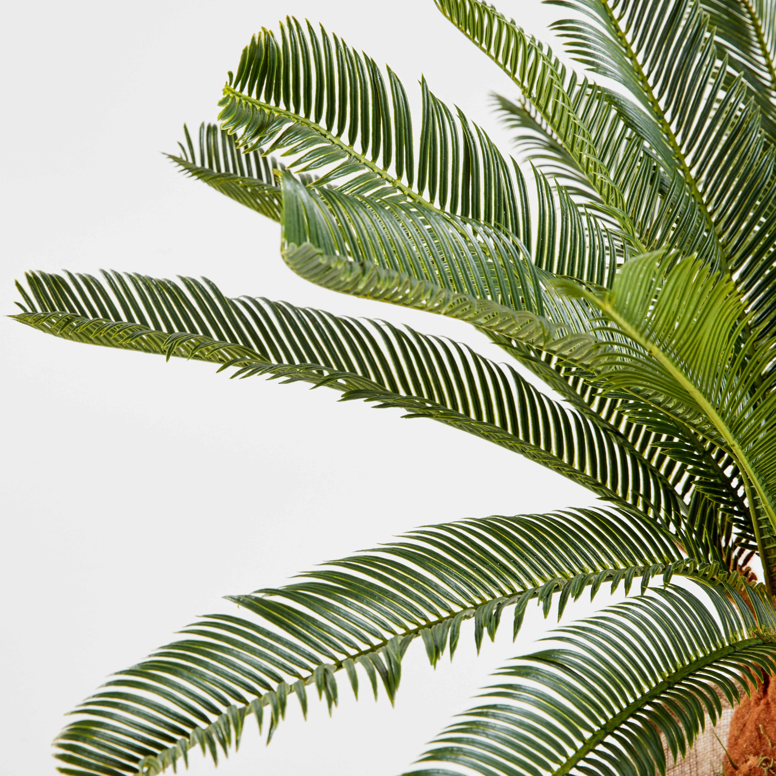 Cycas artificiel en pot hauteur 65 cm