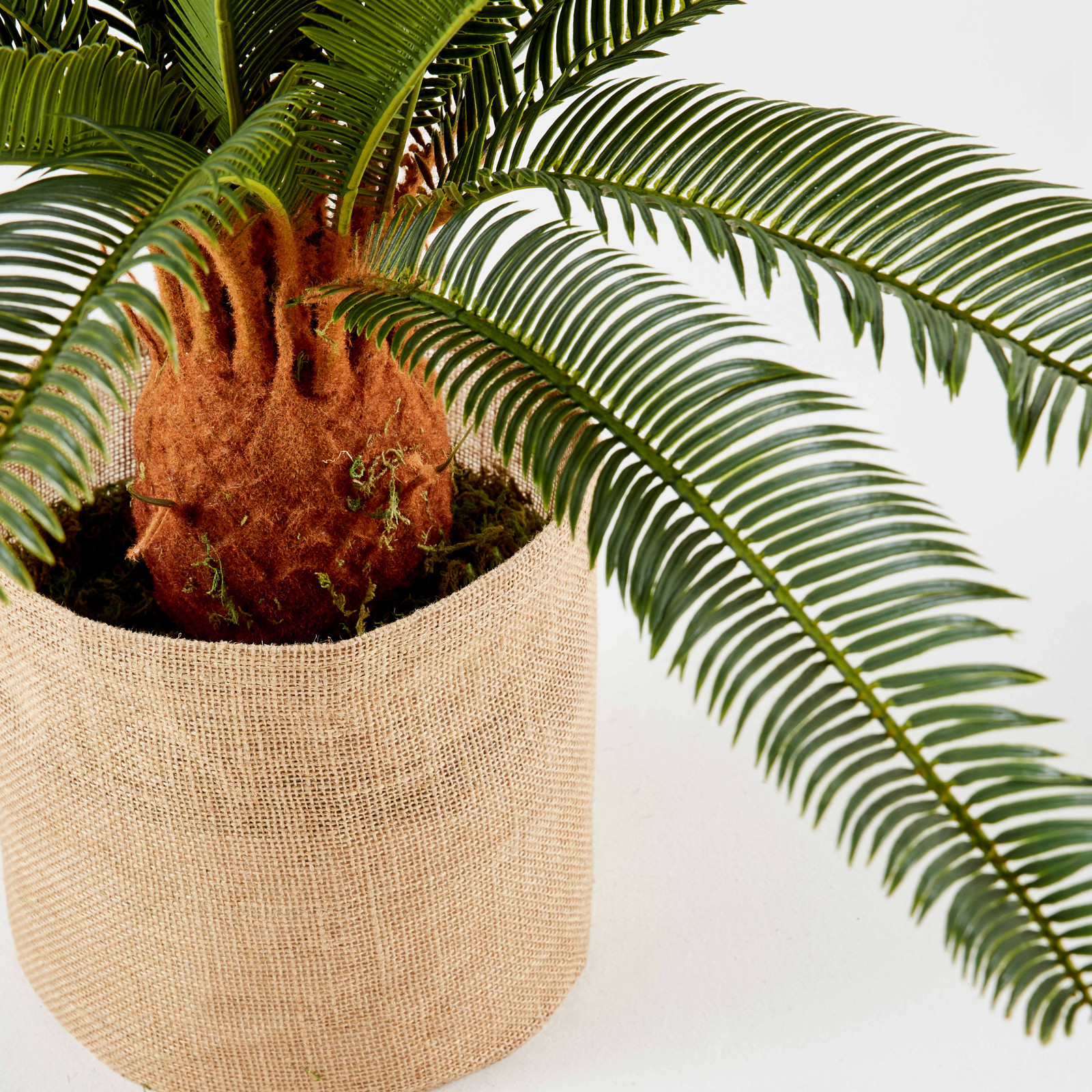 Cycas artificiel en pot hauteur 65 cm