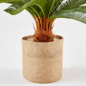 Cycas artificiel en pot hauteur 65 cm
