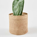Cactus artificiel en pot hauteur 60 cm