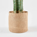 Cactus artificiel en pot hauteur 113 cm