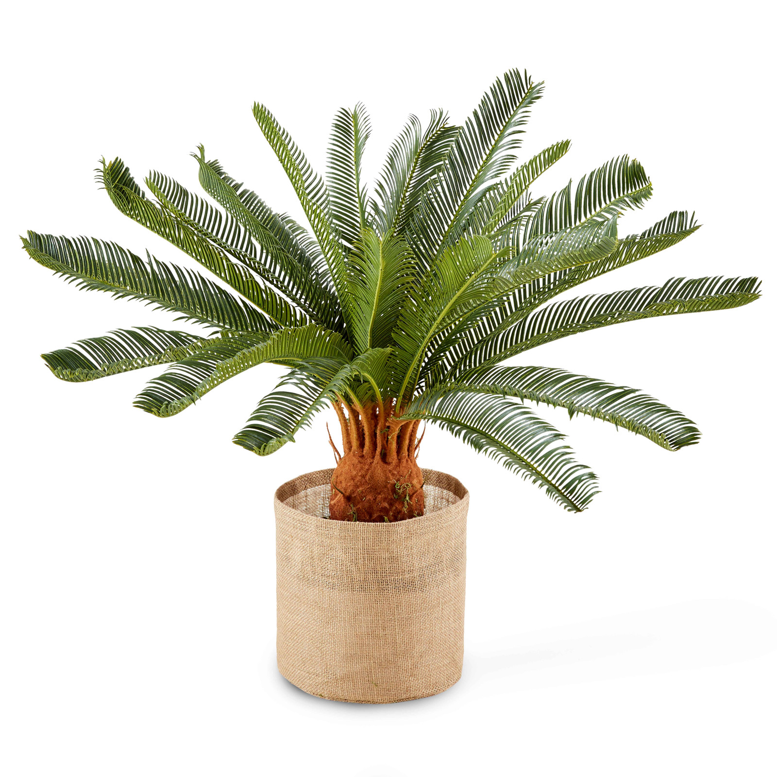 Cycas artificiel en pot hauteur 65 cm