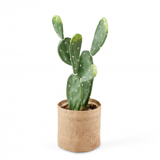 Cactus artificiel en pot hauteur 60 cm