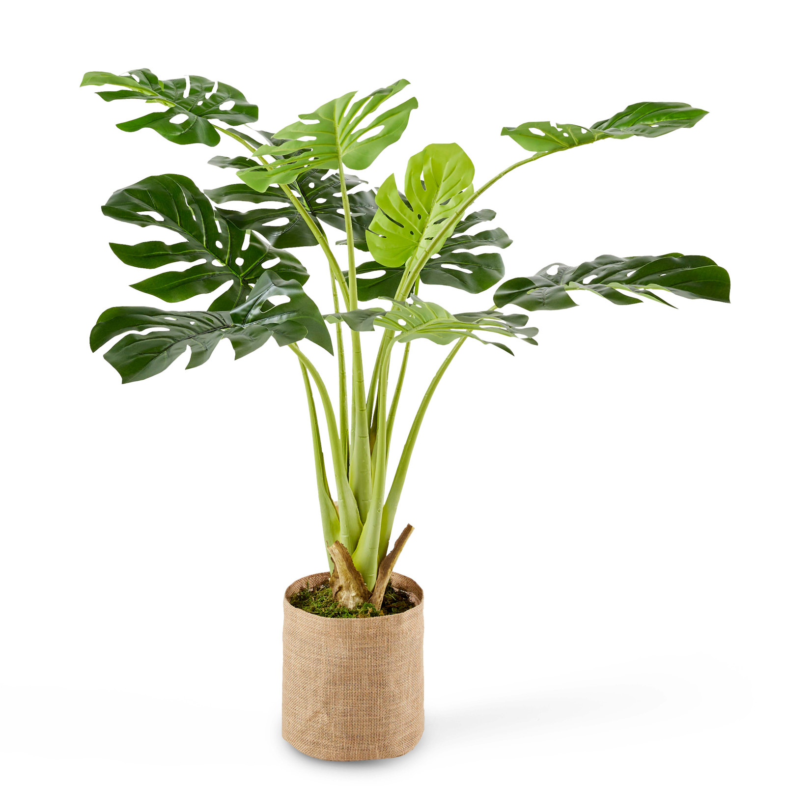 Monstera Deliciosa artificiel en pot hauteur 100 cm