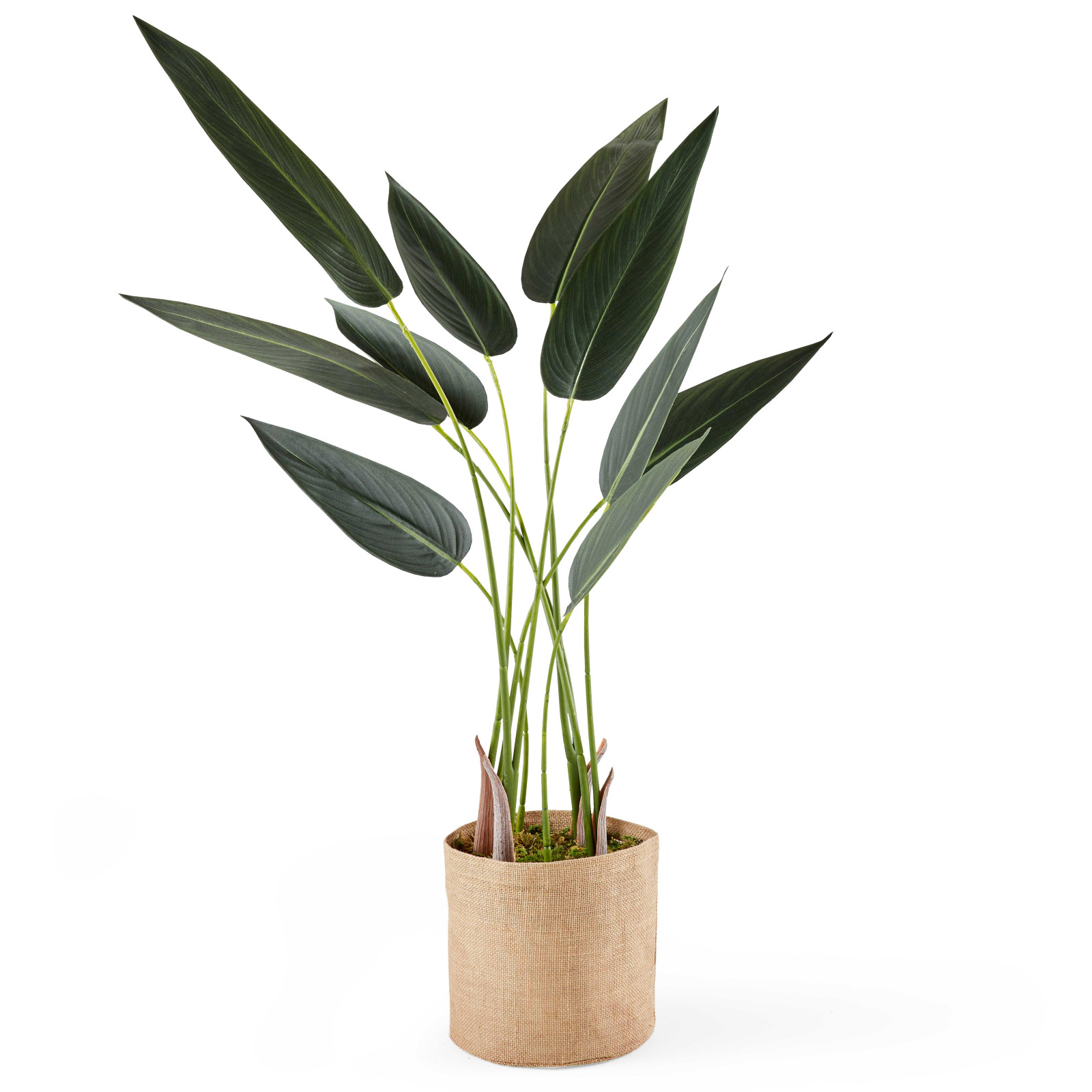 Strelitzia artificiel en pot hauteur 90 cm