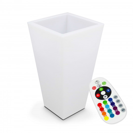 Vase lumineux LED (41 x 77 cm)