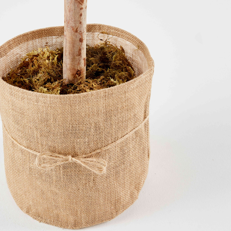 Buis sur tronc artificiel en pot hauteur 110 cm