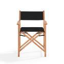 Lot de 2 chaises avec accoudoirs pliantes en bois d'eucalyptus + textilène