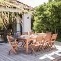 Table de jardin rectangulaire extensible avec 8 chaises pliantes et 2 avec accoudoirs en eucalyptus