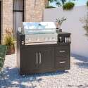 Cuisine d’extérieur angle acier 7 éléments dont 3 modules de cuisson et évier