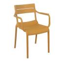 Chaise de terrasse en plastique avec accoudoirs