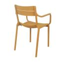 Chaise de terrasse en plastique avec accoudoirs