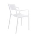 Chaise de jardin en plastique avec accoudoirs