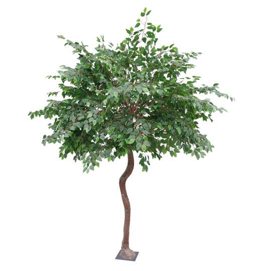 Banyan artificiel premium hauteur 290 cm | Oviala