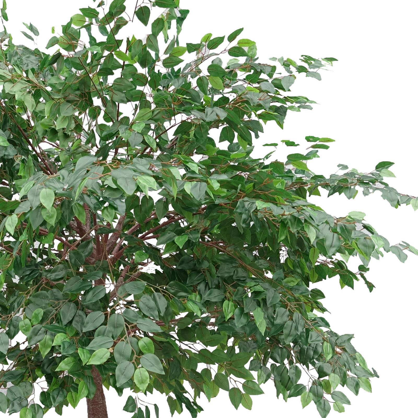 Banyan artificiel hauteur 290 cm