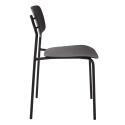 Lot de 2 chaises contemporaines en acier et plastique