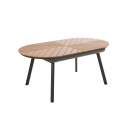 Table de jardin extensible rectangulaire (180/220 x 100 x 76 cm) en aluminium et polywood 